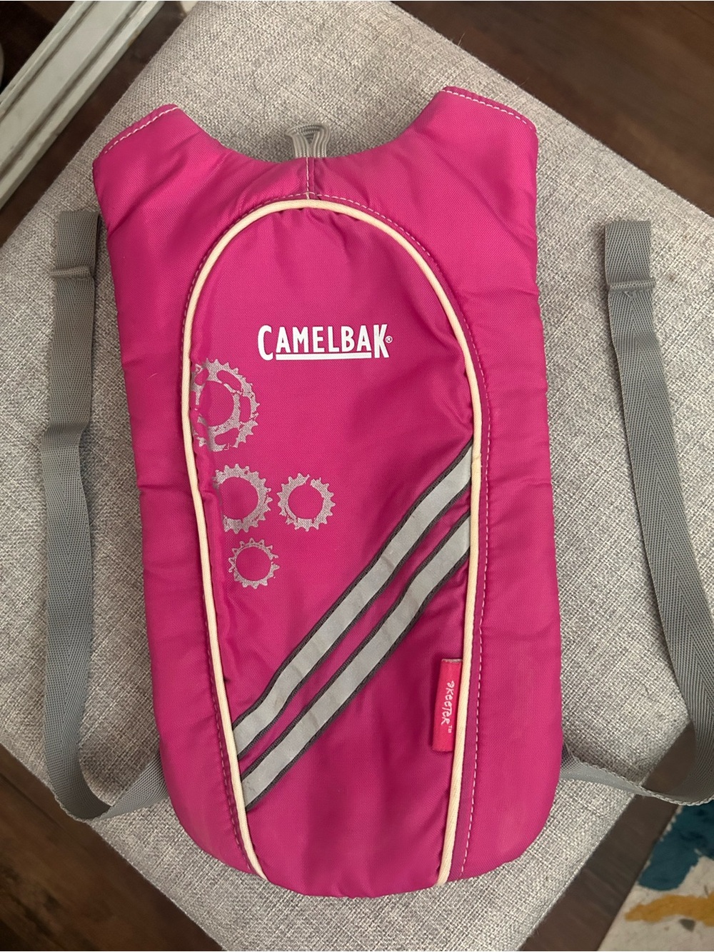 CamelBak Pink and Gray Small Hydration Pack